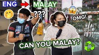 Who is the best at their Mother Tongue?  *MALAY* vs tamil vs chinese