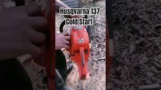 Husqvarna 137 Cold Start #bobthetoolman #shorts #husqvarna #chainsaw #woodworking #timber