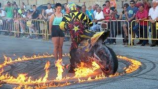 Paulo Martinho  Moto Freestyle  2014  BOTICAS