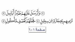 القرآن الكريم سورة 105 -  الفيل مع الايات للقارئ معتز آقائي