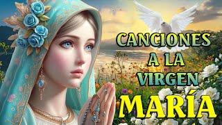 LA CANCIÓN DE LA VIRGEN MARIA️️ MAS HERMOSA DEL MUNDO 2024