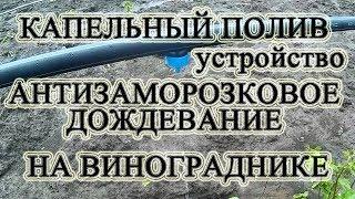  Капельный полив и антизаморозковое дождевание виноградника. Как я его сделал самостоятельно.