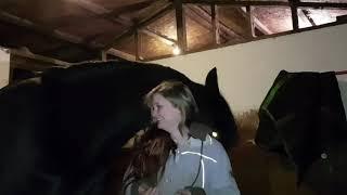 Horse pulls owner close for a hug