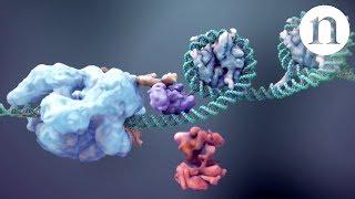 CRISPR Gene editing and beyond