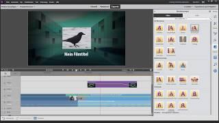 Premiere Elements Erweiterte Funktionen Korrekturen zeitabhängige Effekte Überblendungen
