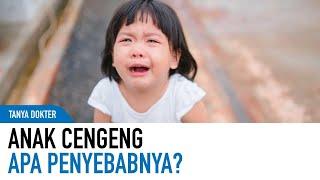 Trik Menghadapi Anak Cengeng Tanpa Drama  Kata Dokter