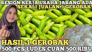 SEKALI JUALAN 3 GEROBAK  RESIGN KERJA BIKIN KULINER JARANG ADA 500 PCS LUDES OMSET 500K  IDE USAHA