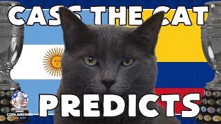 COPA AMERICA 2024 FINAL PREDICTION - ARGENTINA vs COLOMBIA CASS THE CAT