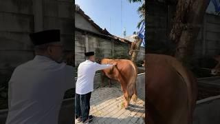 Selamat Hari Raya Idul Adha Semuanya ️️