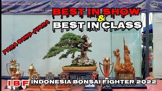 BONSAI BEST IN SHOW & BEST IN CLASS  IBF INDONESIA BONSAI FIGHTER   PAMNAS JEPARA 2022