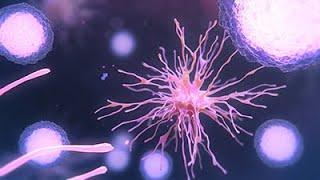 Cancer Immunotherapy Animation