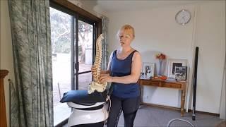 How To Manage Back Pain as a Horse Rider