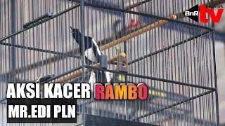 RAMBO KACER HANDAL EDI PLN