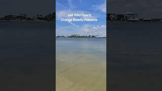 Sail Wild Hearts Orange Beach Alabama #orangebeach #gulfcoast #orangebeachalabama #alabamabeaches