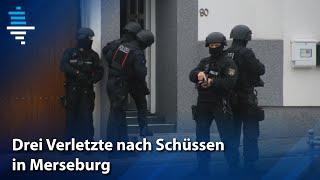 Drei Verletzte nach Schüssen in Merseburg