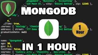 Learn MongoDB in 1 Hour  2023