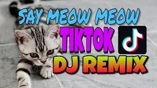 SAY MEOW MEOW TIKTOK DJ REMIX LS BACKGROUND MUSIC No Copyright Music