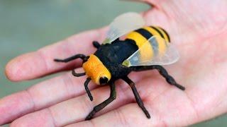 GIGANTIC WASP