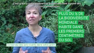 Conservez des sols vivants dans votre jardin ? #laminuteinfo