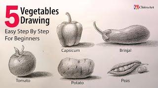 5 Vegetables Drawing for School Projects  How To Draw 3D Capsicum Brinjal Tomato Potato Peas.