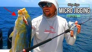 Micro Jigging is AWESOME  17 Different Species  Slow Pitch Jigging  Offshore Fishing