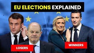 The EU Election Results Explained