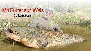 Mit Futter von Catbaits auf Wels