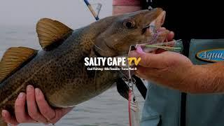 Offshore Jigging Cod  Haddock  Pollock with Hogy Jig-Biki Rigs