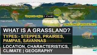 What are Grassland  Types - Temperate & Tropical  Location Characteristics Climate  Geography
