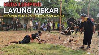 SEREM.. KUDA LUMPING NGAMUK MENGEJAR PELIHARAAN WARGA - LAYUNG MEKAR JAMPANGKULON