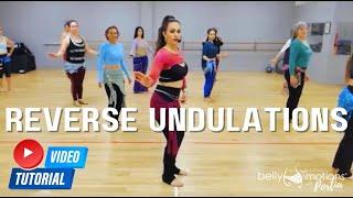 Reverse the Roll Your Guide to Reverse Undulations #bellydance