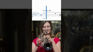  Definition of Perfection  Selina Ott plays The Overton Window for trumpet and brass band