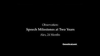 Observation Speech Milestones at 2 years