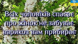 Всіх чоловіків спасає про жінок не забуває варикоз вам прибирає