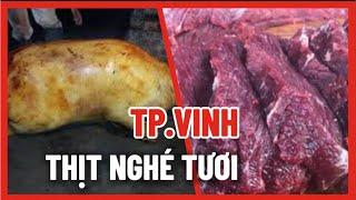  Thưởng Thức Thịt Nghé Tươi Mềm Mọng Nước Cùng Anh Em TP. Vinh