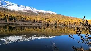 Безымянное озеро у подножья северо Чуйского хребта. Горный Алтай Кош-Агачский район.