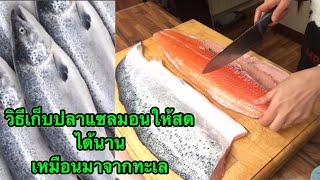 วิธีเก็บปลาแซลมอนให้สดได้นาน  salmon  how to keep salmon  #4  KKD CHANNEL