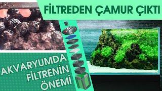 FİLTREDEN ÇIKAN KİRE BAKIN Akvaryumlarda Filtrenin Amacı ve Önemi