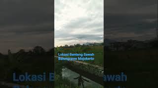 Langit Yang Indah #shorts #shortsvideo #shortsyoutube #fyp #fypシ #fyppage #hiburan #langitbiru