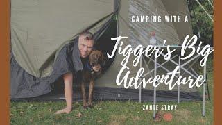 Tiggers First Big Adventure - Camping With a Zante Stray Dog