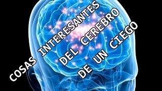 5 Cosas Increíbles Que Suceden En El Cerebro De Las Personas Ciegas