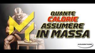 CALORIE IN MASSA ️‍️️‍️ QUANTE NE DEVI ASSUMERE.