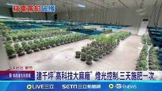 市價20億史上最大宗 警破高科技無塵室大麻廠 建千坪高科技大麻廠 燈光控制.三天施肥一次 水電工找金主建千坪大麻無塵室 可害3百萬人│【新聞一把抓】20241015│三立新聞台