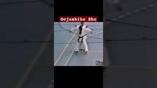 Gojushiho Sho kata important points by Yamaguchi sensei  #karate #japanmartialarts #sports