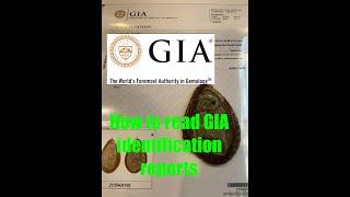 Jade GIA Certification **How to read and analyze GIA identification reports**