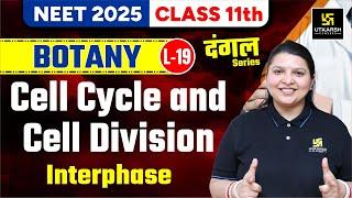 Class 11 Botany  Cell Cycle and Cell Division - Interphase  NEET 2025  L-19 Radhika Maam