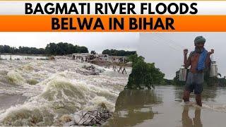 Bihar Flood Update  Bagmati River Embankment Leak in Belwa  Flood Risks Rising  News9