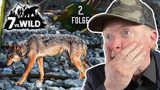 Joey Kelly reagiert auf 7 vs. Wild Teams - Wolfsgebiet  Folge 2