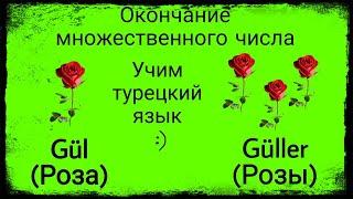 Урок 5.Множественное число.Учим новые турецкие слова по стихотворениям.