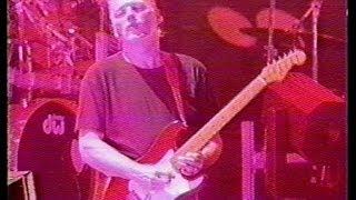Pink Floyd - Comfortably Numb Live Pulse uncut final solo